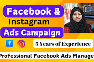 manage facebook and instagram ads campaign for your business