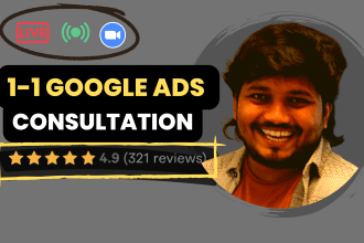 do 1 on 1 google ads consultation live