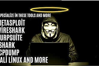do cyber security and network related projects for you