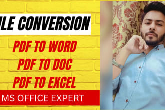 convert PDF to word, pdf to excel, copy paste, data entry