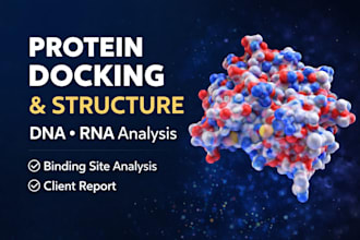 do protein docking and binding site analysis