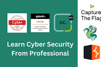 teach you cyber security and penetration testing