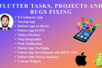 do flutter tasks, projects, and bug fixing
