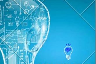 do feasibility, financial projections, forecasting and budgeting of your project