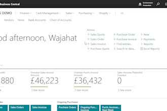 do customizations, report development and bug fixing in business central and nav