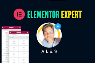 elementor expert for wordpress websites