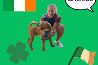 translate from irish to english or english to irish