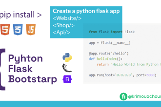 create a python flask  app website shop or api