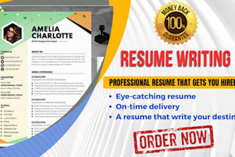 provide professional CV writing resume writing and CV maker services