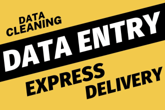 find email, phone, address, websites excel data entry