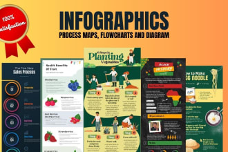 design infographics, process maps, flowcharts and diagram in 12 hours