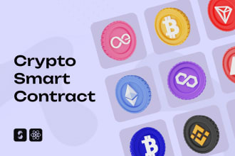 develop and audit any custom smart contract