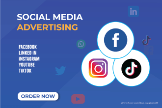 set up your facebook, tiktok, linkedin and instagram ad campaigns