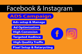 set up and manage facebook ads instagram ads promotion to increase your business