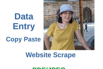 do data entry, copy paste, website scrape, etc