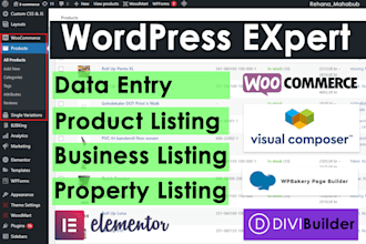 do wordpress data entry and woocommerce product upload
