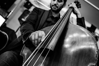 be the double bass player you have in mind