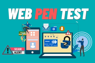 perform penetration testing and web vulnerability with security