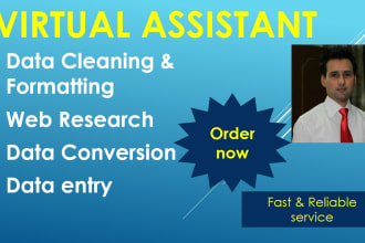 be your virtual assistant for excel, data entry, copy paste, data conversion