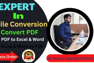 do accurate file conversion, manual convert, pdf to excel