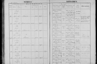 research your slovak or hungarian ancestry