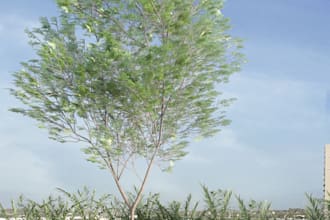 make a realistic exterior rendering