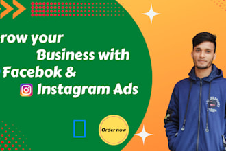 manage facebook ads campaign, instagram marketing and advertising