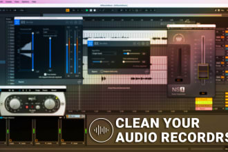 professionally clean up your audio