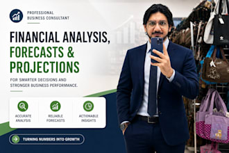 provide financial analysis, forecasts and projections