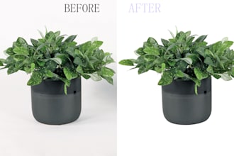 best photo background removal and clipping path service