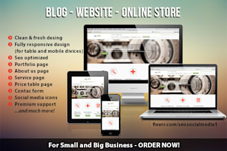 create WordPress Website, Blog or OnlineStore