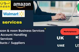 be expert amazon noon ,walmart va  a to z account handling