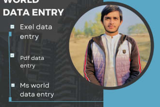 do data entry, excel, clean, merge, split, organize leads big excel file