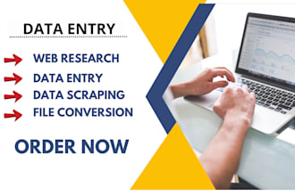 do impeccable data entry, web scrapping and file conversion