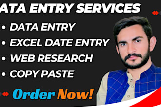 do data entry, web research, copy paste, excel data entry