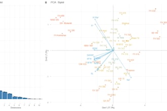 do statistical analysis of your data