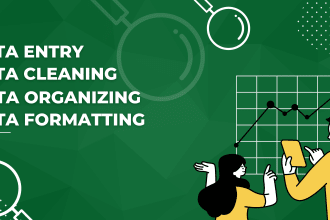 do fastest copy paste, organize, data cleaning, merge and format ms excel