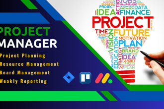 provide project management services for software development