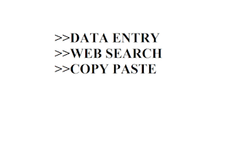 do web search, data entry, copy paste and form filling