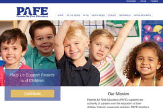 design and customize nationbuilder website professionally
