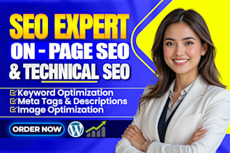do onpage SEO for shopify, wix and wordpress ecommerce