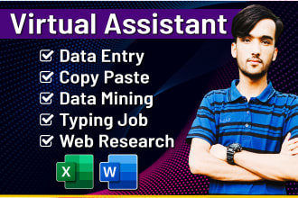 be your virtual assistant for data entry, data mining, copy paste, web research