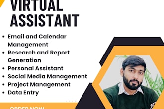 be virtual assistant for streamlined business operations