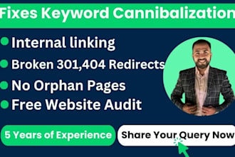 fixes keyword cannibalization, broken 301,404 internal linking and orphan pages