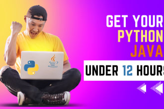 do your python java programming and gui projects in 12 hours