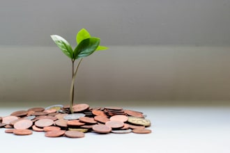 provide real estate investment coaching