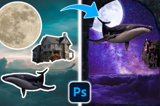 do photo editing, photo manipulation and composition