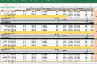 make excel payroll sheet for employees