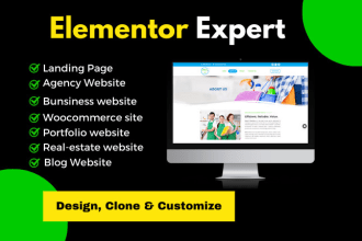 be your elementor and elementor pro expert