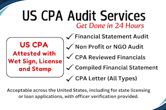 do CPA financials audit, ngo audit, reviewed or compiled financials in 24 hours